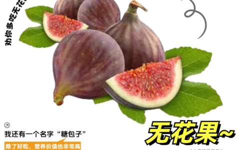 晚上擦水乳和面霜好吗-晚上脸擦乳液效果好吗网 - 网站提供晚上擦个乳液好不好小常识、晚上脸上擦护肤品好还是不擦好